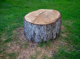 Best Hazardous Tree Removal  in Victor, ID