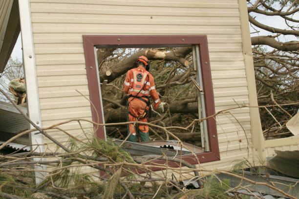 Best Root Management and Removal  in Victor, ID